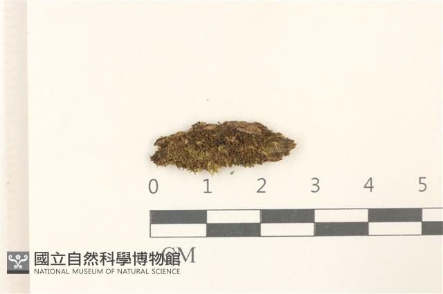 登錄號:B00007290藏品圖，第1張