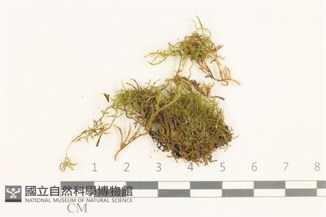 登錄號:B00014090藏品圖，第1張