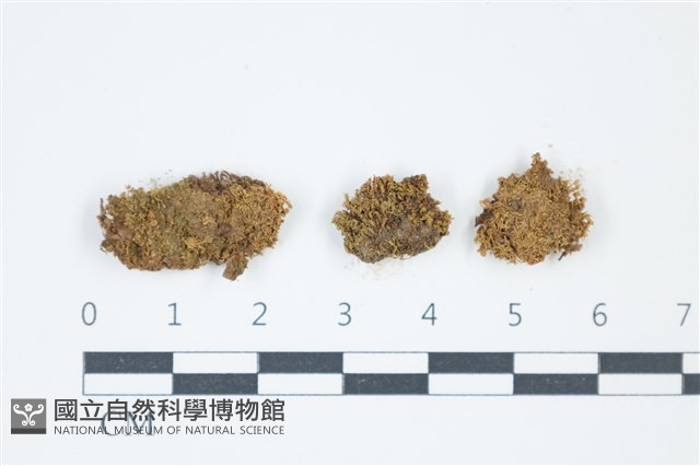 登錄號:B00010190藏品圖，第1張