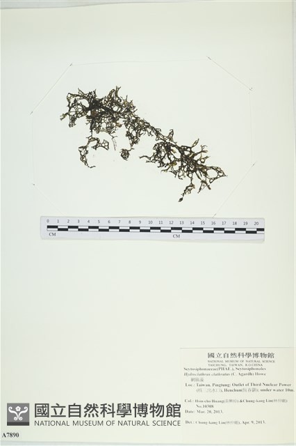 登錄號:A00007890藏品圖，第1張