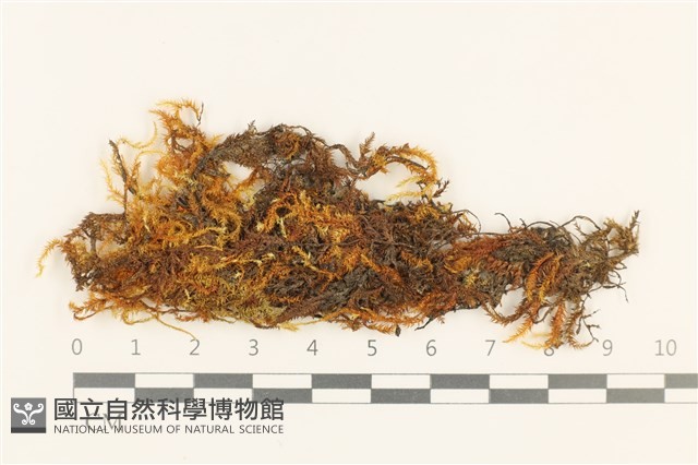 登錄號:B00015140藏品圖，第1張