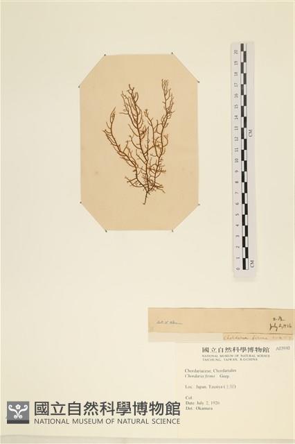 登錄號:A00003940藏品圖，第3張