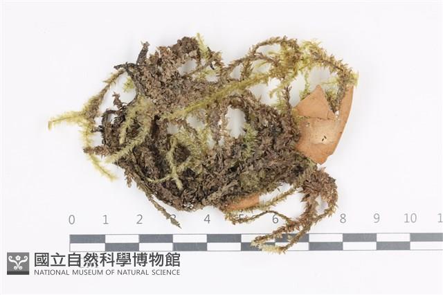 登錄號:B00014840藏品圖，第1張