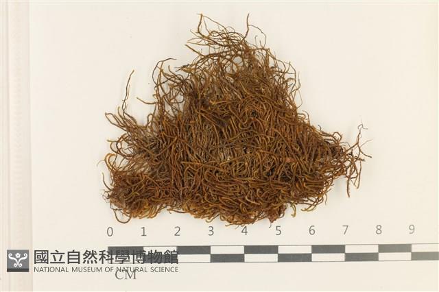 登錄號:B00000840藏品圖，第1張