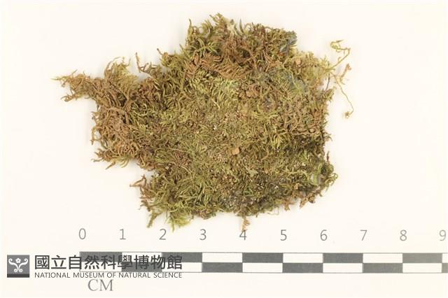 Accession Number:B00014060 Collection Image, Figure 1, Total 2 Figures