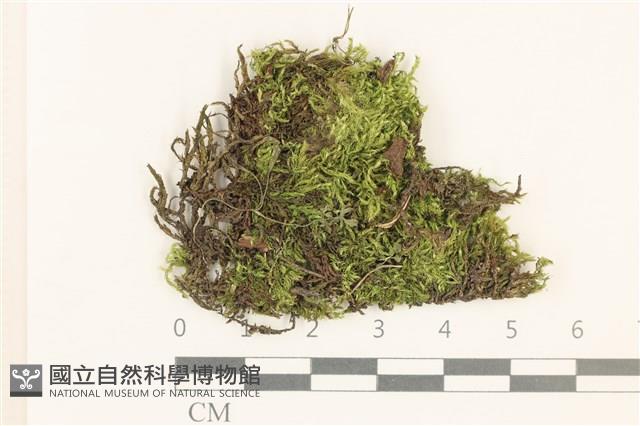 登錄號:B00020060藏品圖，第1張