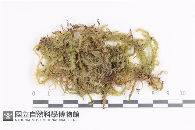 登錄號:B00003060藏品圖，第1張