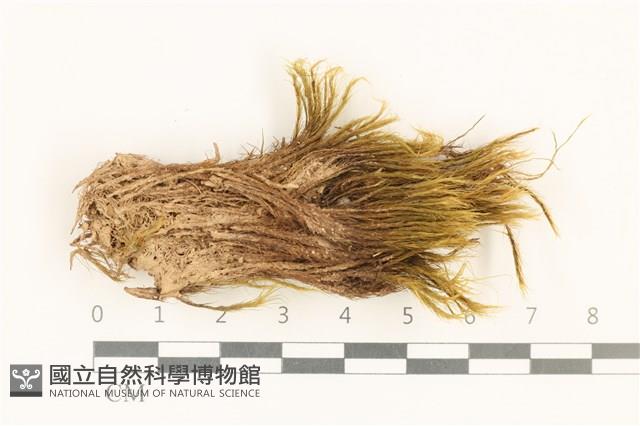 登錄號:B00015160藏品圖，第1張