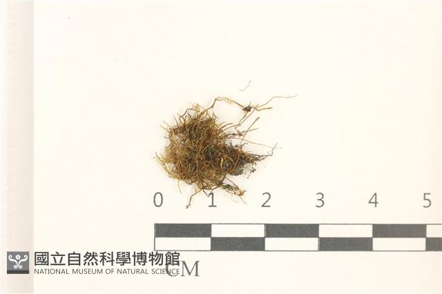 登錄號:B00019960藏品圖，第1張