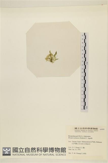 登錄號:A00004960藏品圖，第3張