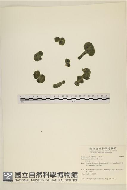 登錄號:A00006860藏品圖，第1張