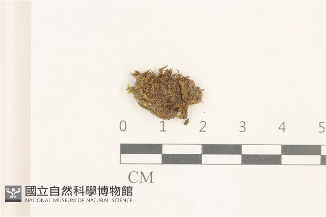 登錄號:B00014860藏品圖，第1張