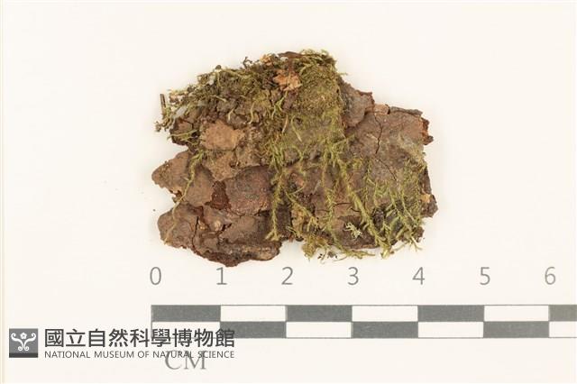 登錄號:B00015860藏品圖，第1張