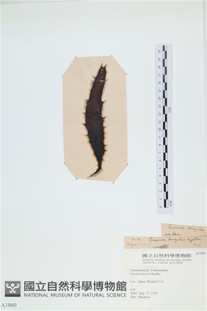 登錄號:A00003860藏品圖，第3張