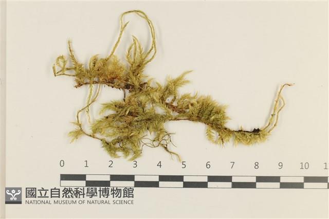 登錄號:B00000200藏品圖，第1張