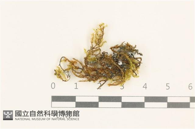 登錄號:B00003200藏品圖，第1張