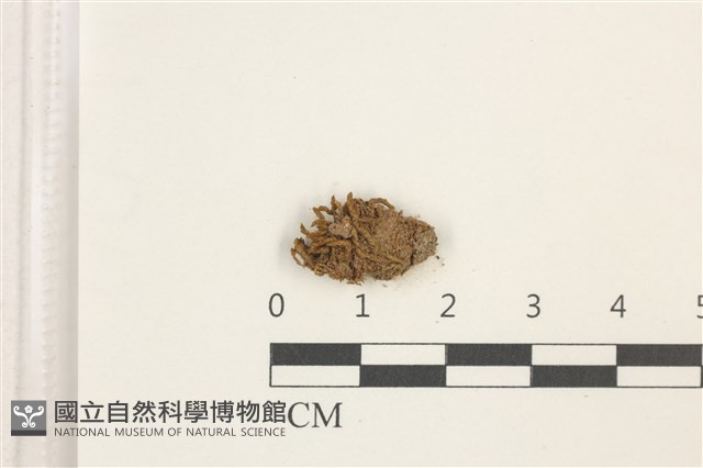 登錄號:B00010000藏品圖，第1張