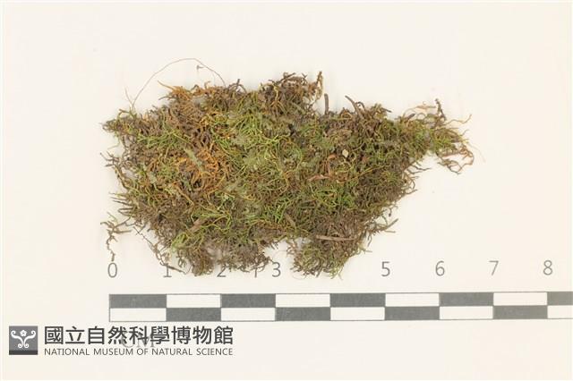 登錄號:B00007100藏品圖，第1張