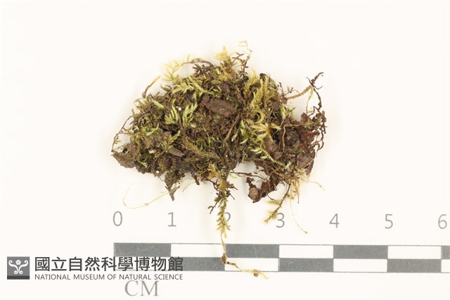 登錄號:B00013100藏品圖，第1張