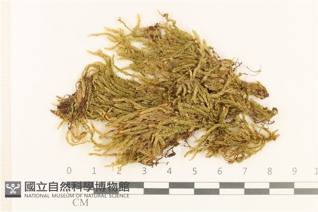登錄號:B00000400藏品圖，第1張