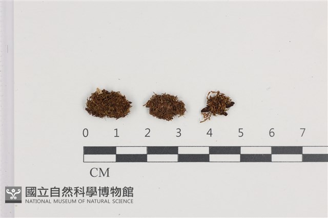 登錄號:B00004900藏品圖，第1張