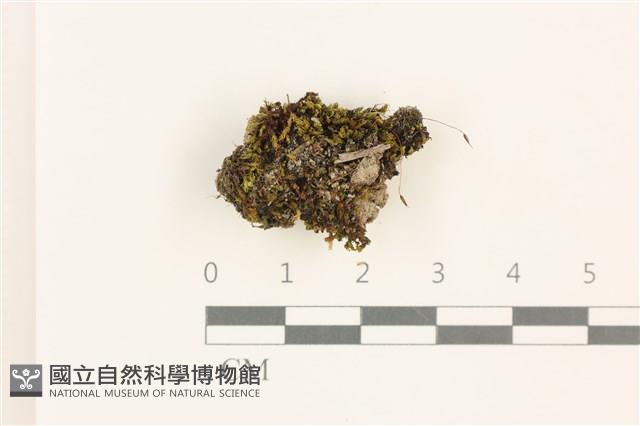 登錄號:B00012800藏品圖，第1張