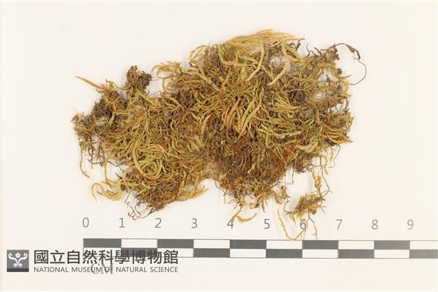 登錄號:B00006800藏品圖，第1張