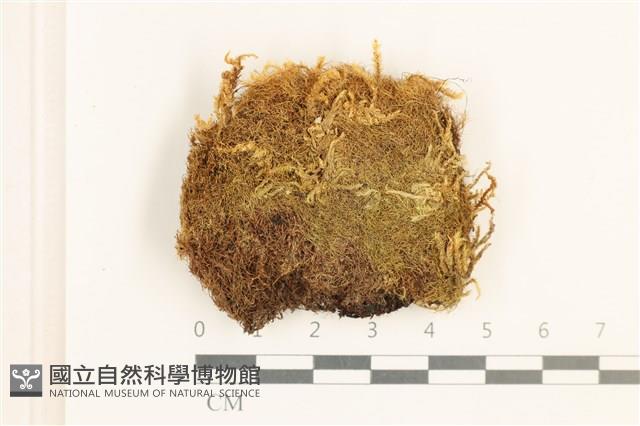 Accession Number:B00001300 Collection Image, Figure 1, Total 2 Figures