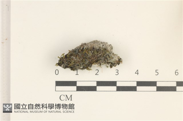 登錄號:B00006280藏品圖，第1張