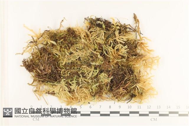 登錄號:B00011080藏品圖，第1張