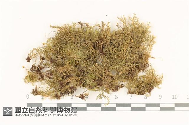 登錄號:B00001080藏品圖，第1張