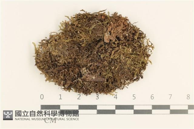 登錄號:B00001180藏品圖，第1張