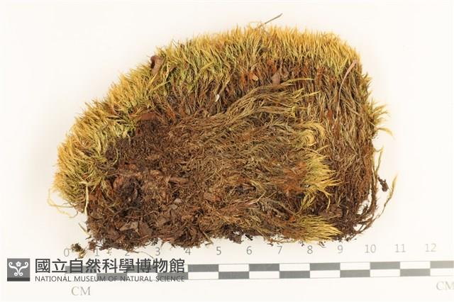 登錄號:B00012480藏品圖，第1張