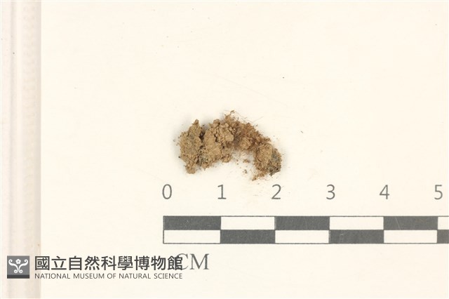 登錄號:B00010480藏品圖，第1張