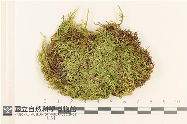 登錄號:B00011980藏品圖，第1張