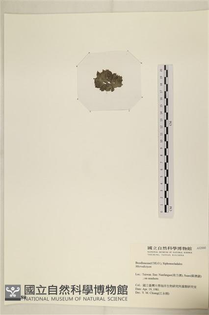 登錄號:A00002880藏品圖，第3張