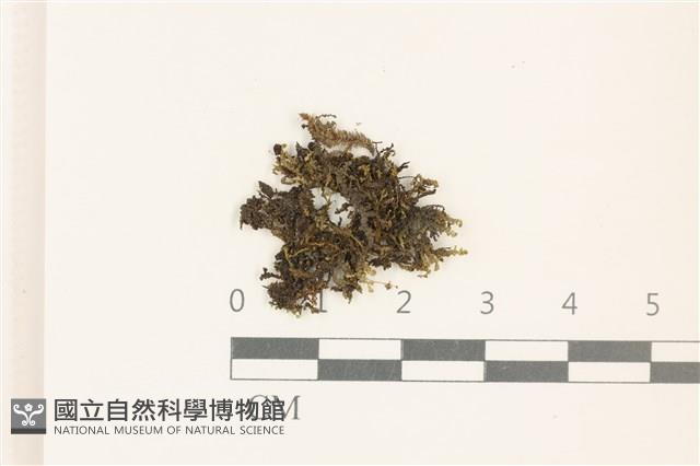 登錄號:B00015880藏品圖，第1張