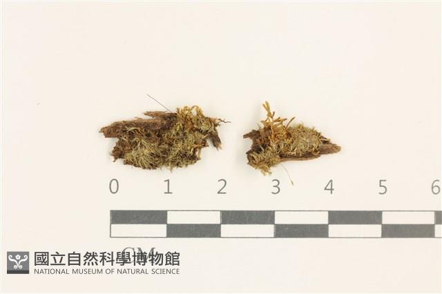 Accession Number:B00010133 Collection Image, Figure 1, Total 2 Figures