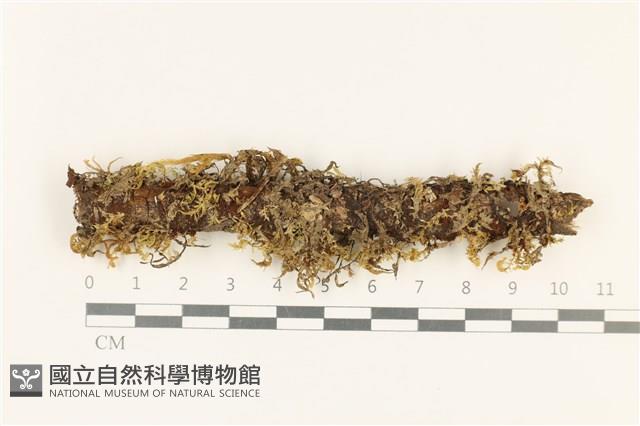 登錄號:B00000153藏品圖，第1張