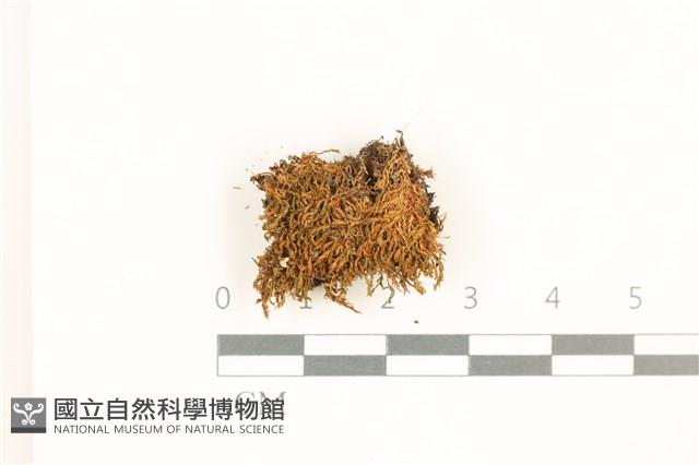 登錄號:B00017953藏品圖，第1張