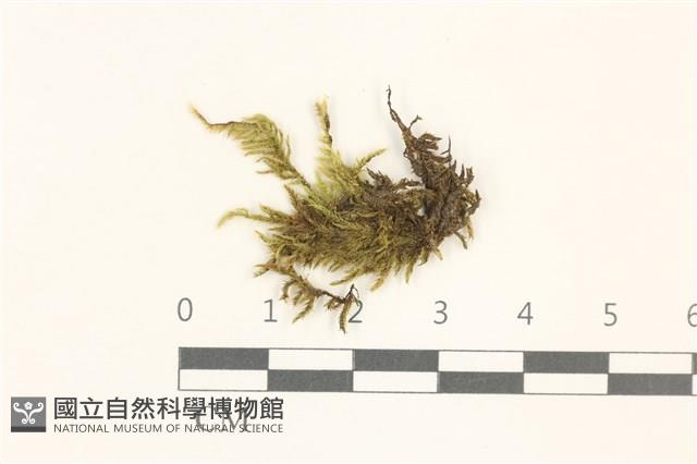 登錄號:B00014853藏品圖，第1張