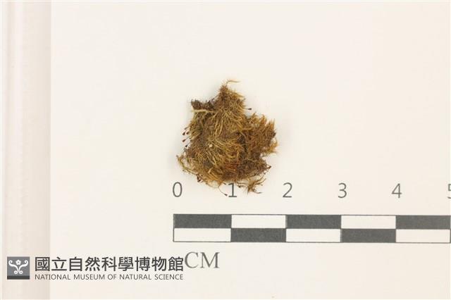 登錄號:B00002223藏品圖，第1張