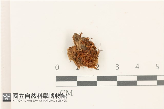 登錄號:B00003223藏品圖，第1張