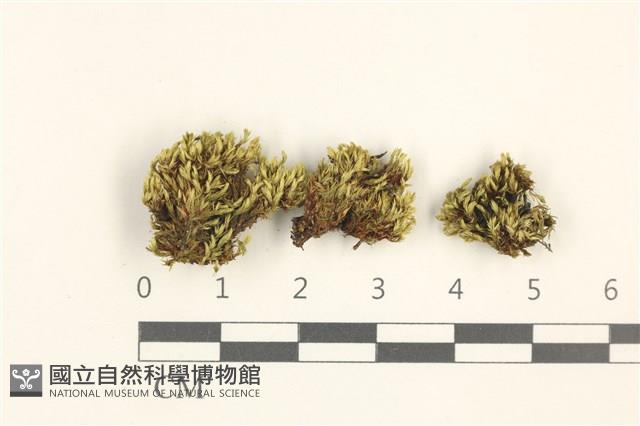 登錄號:B00011023藏品圖，第1張