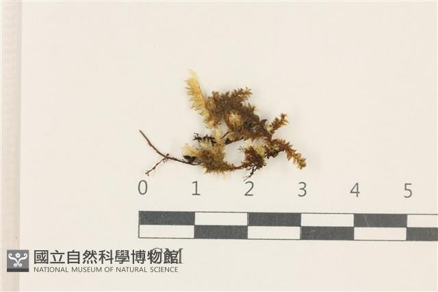 登錄號:B00020023藏品圖，第1張