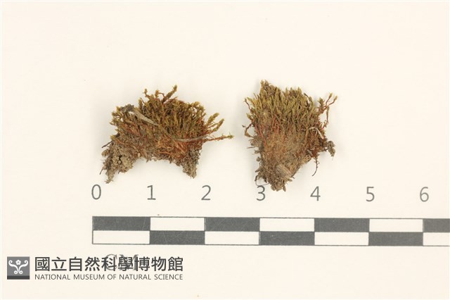 登錄號:B00003023藏品圖，第1張