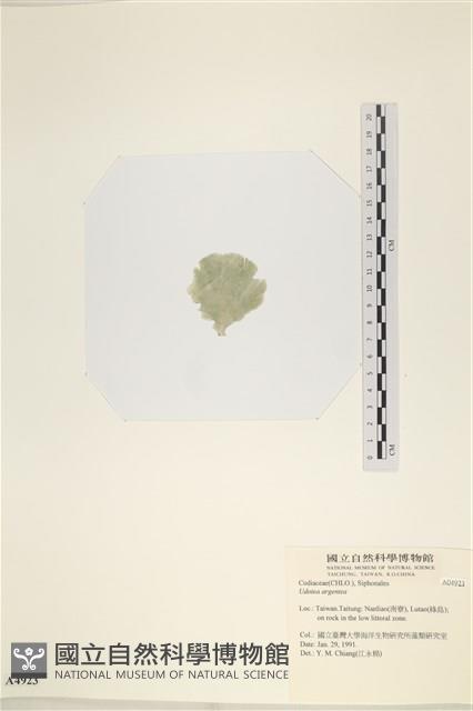 登錄號:A00004923藏品圖，第3張