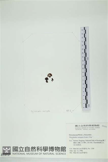 登錄號:A00001973藏品圖，第3張