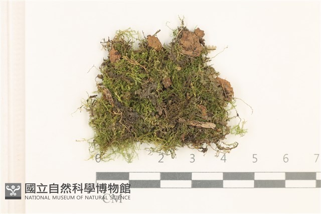 登錄號:B00014873藏品圖，第1張