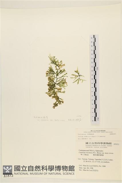 登錄號:A00001873藏品圖，第1張